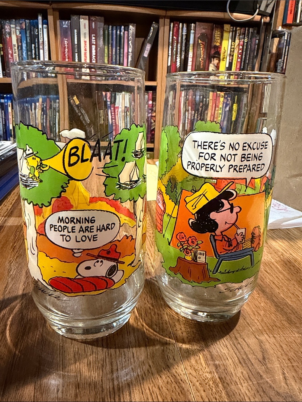 Peanuts - Camp Snoopy - McDonald’s Glasses - 1983 - set of 2 - Great Shape